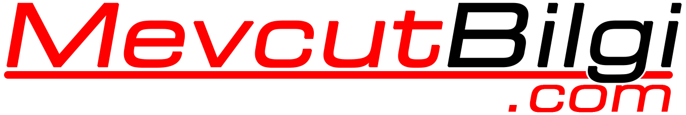 MevcutBilgi